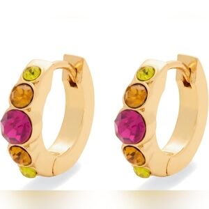 Kurt Geiger Gold-Tone Huggie Hoop Earrings In Pink, Blue Or Crystal, NWT In Box